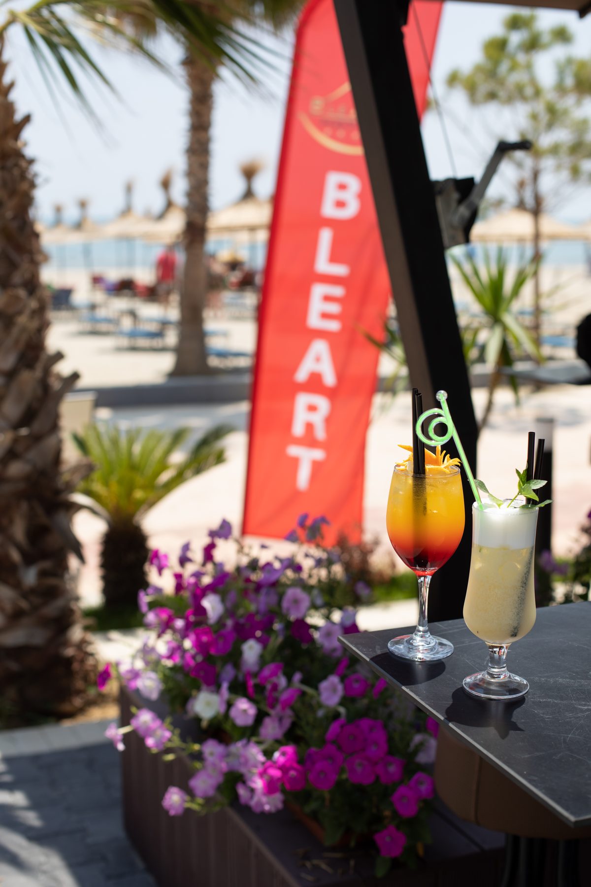 Bleart Hotel
